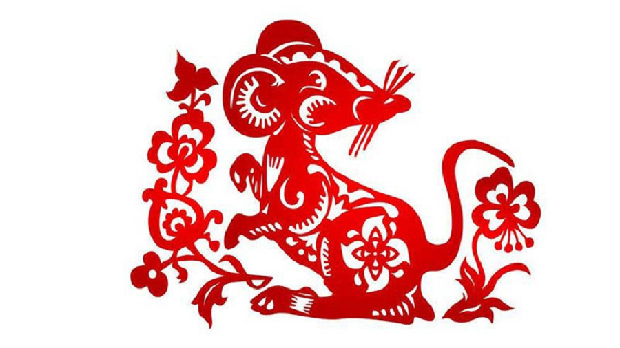 Hình ảnh 1