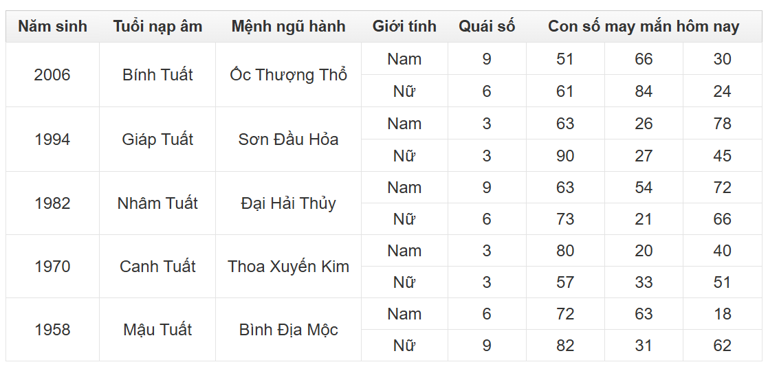 Hình ảnh 11