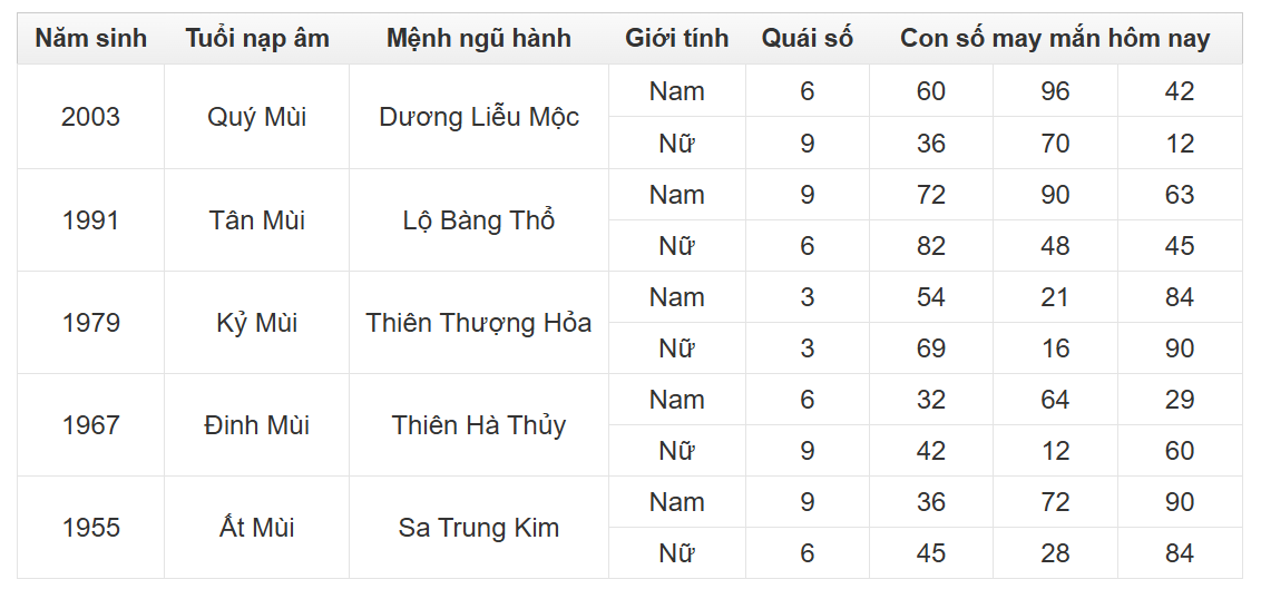 Hình ảnh 8
