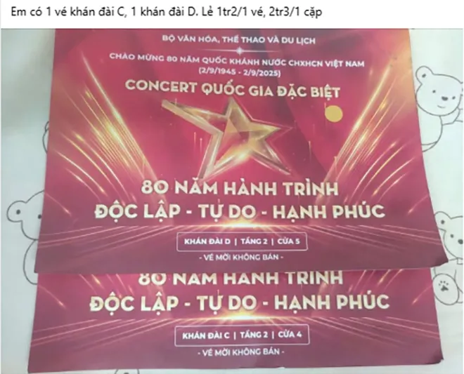 Hình ảnh 3