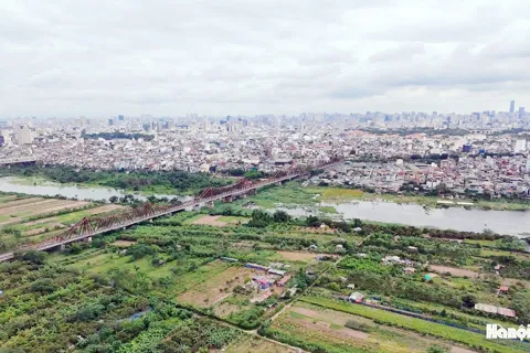 Cần quy định rõ trách nhiệm trong xử lý vi phạm đất đai
