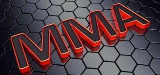 Môn võ MMA là gì?
