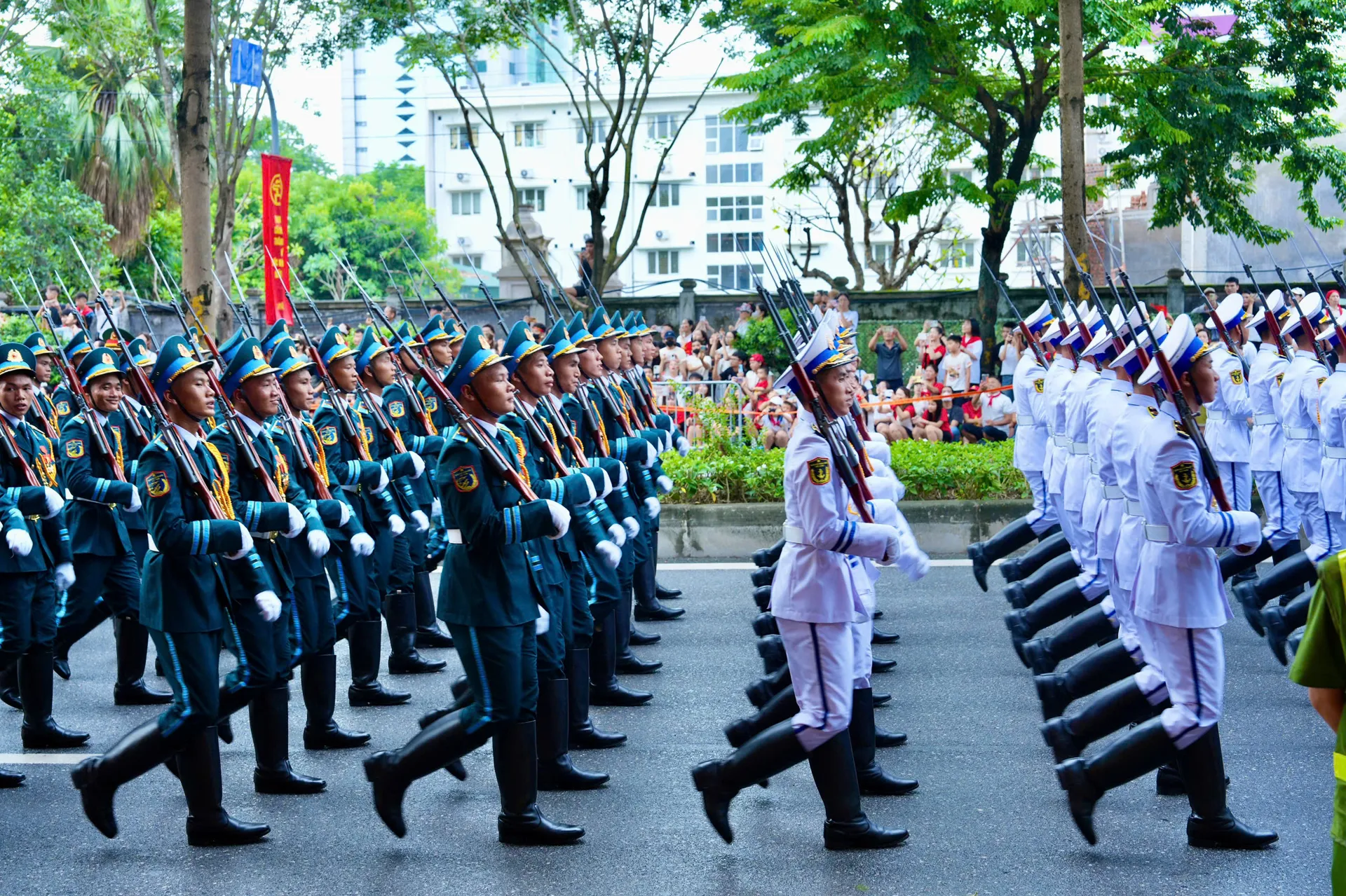 Hình ảnh 4