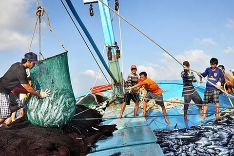 Thực hiện tháng cao điểm chống khai thác hải sản bất hợp pháp