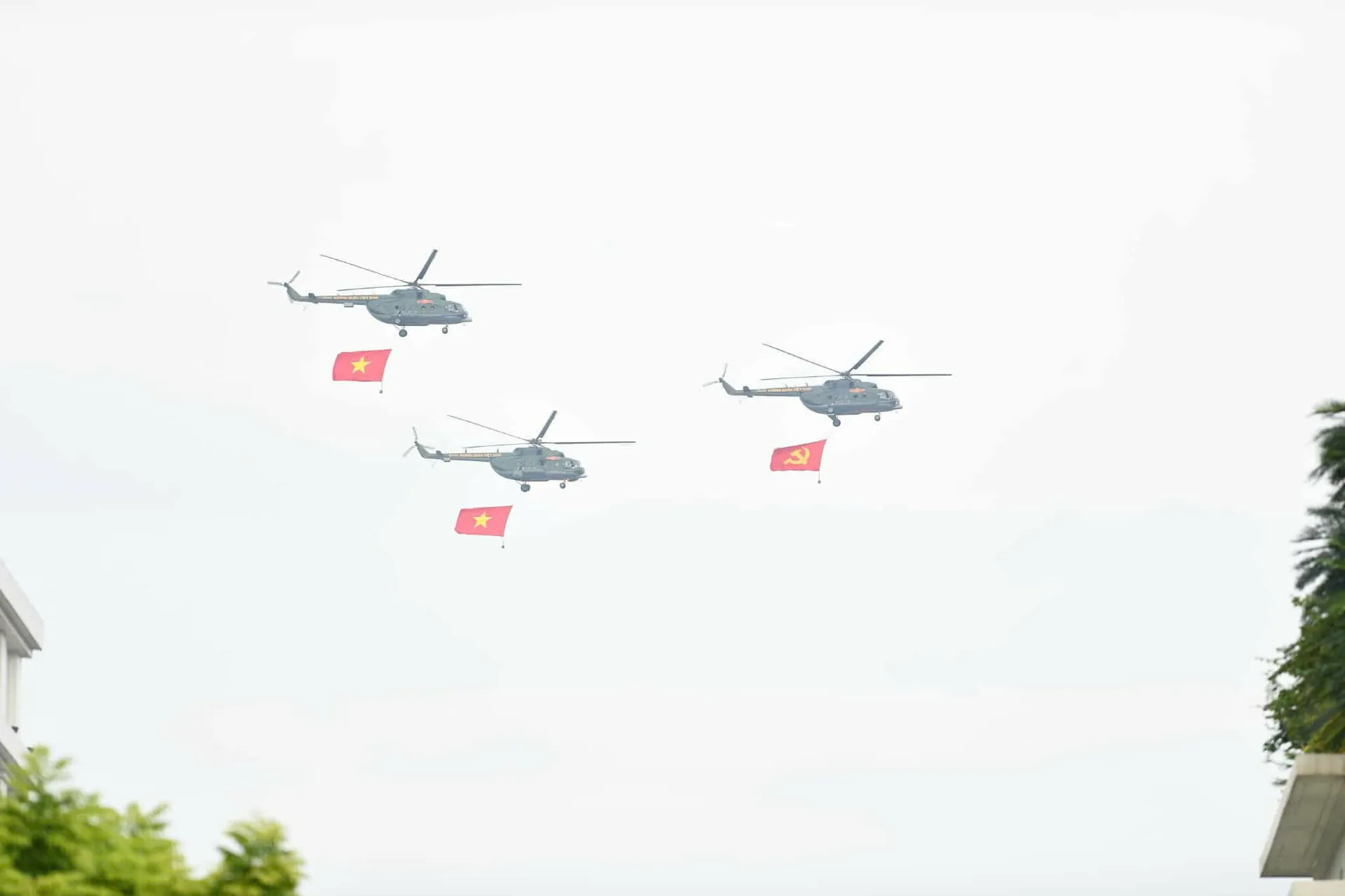 Hình ảnh 2
