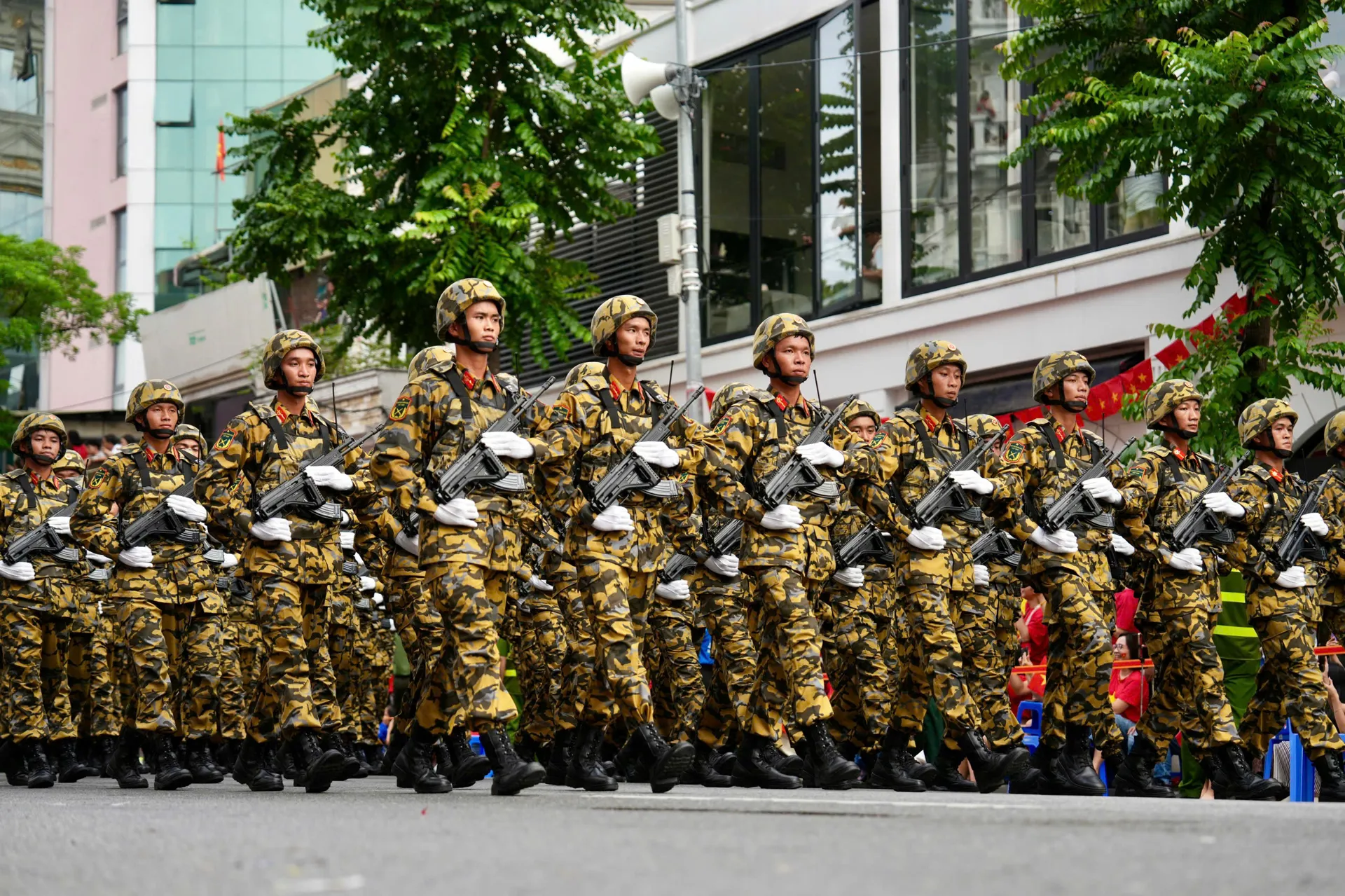 Hình ảnh 16