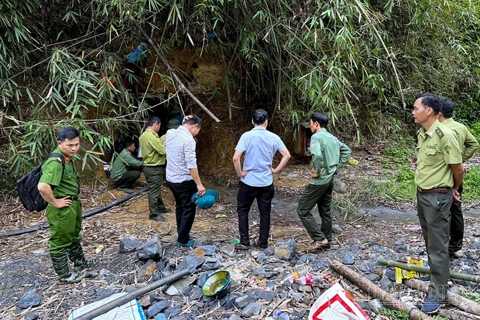 Xử lý các đối tượng khai thác vàng không phép trong rừng phòng hộ Đắk Glong