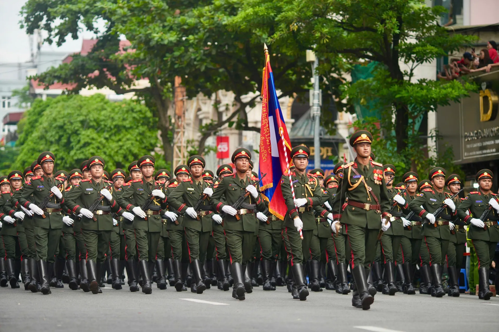 Hình ảnh 3