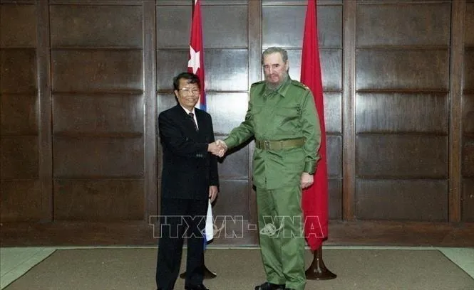 Hình ảnh 5