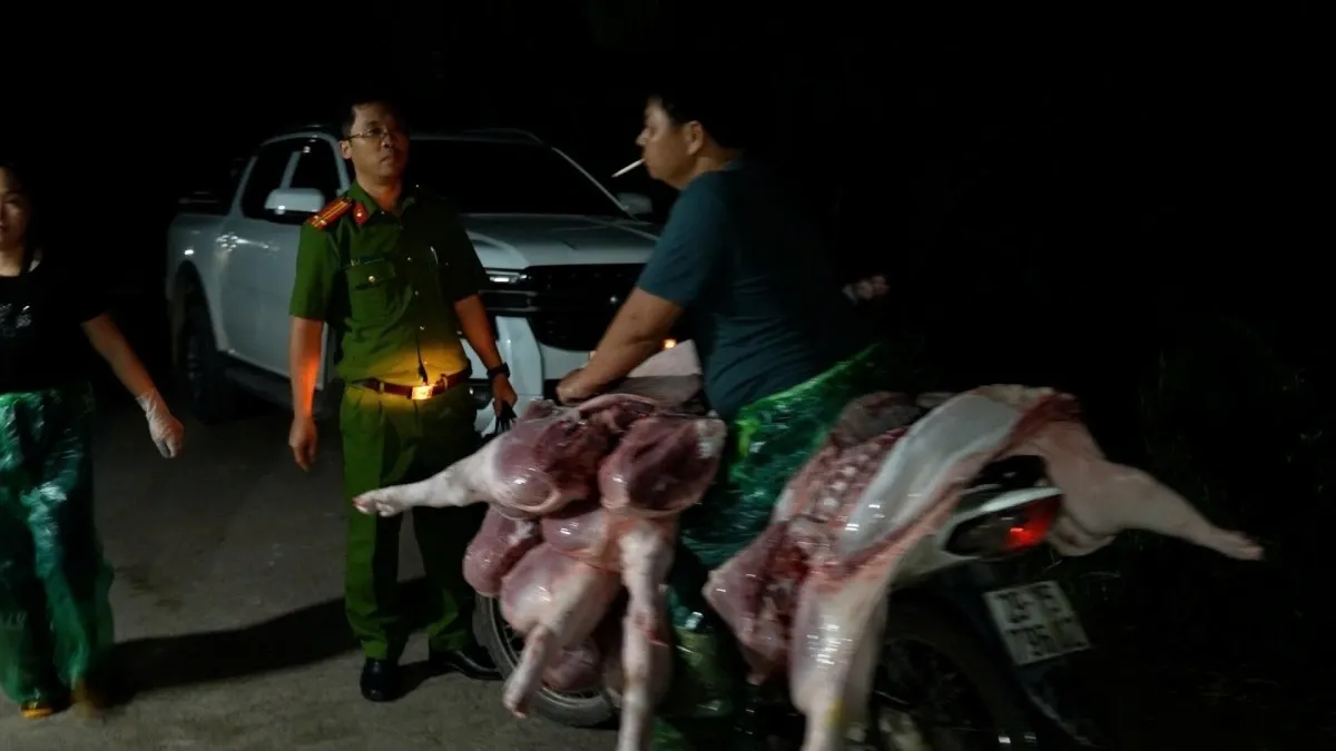 Hình ảnh 1