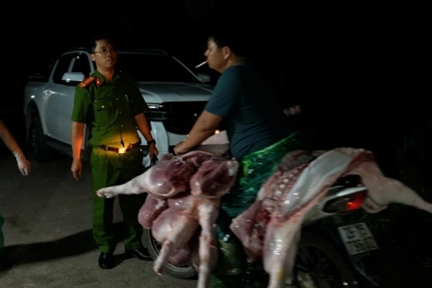 Đường dây giết mổ, tiêu thụ lợn bệnh tại Hà Nội: Những đối tượng nào sẽ bị xử lý?