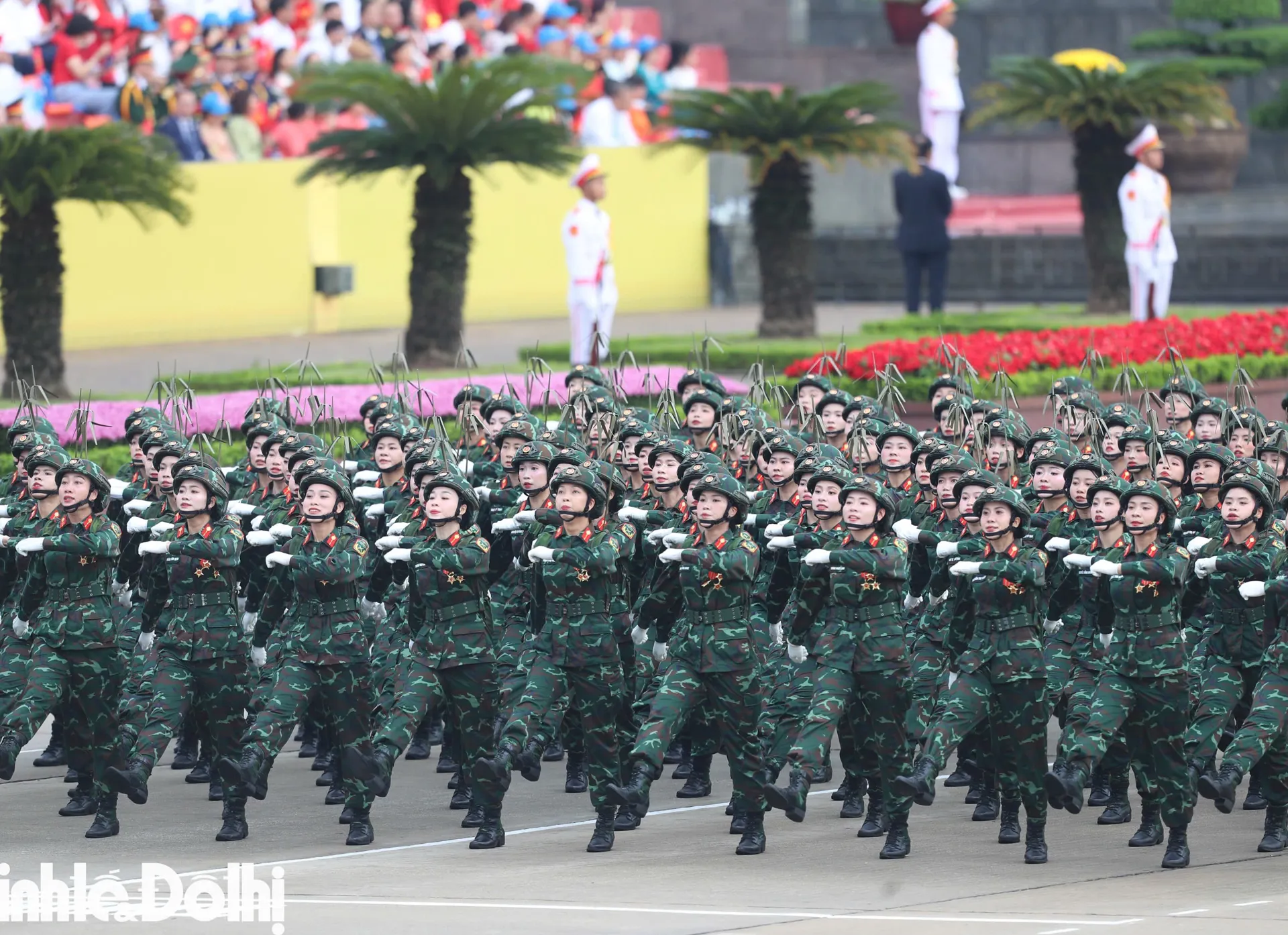 Hình ảnh 43