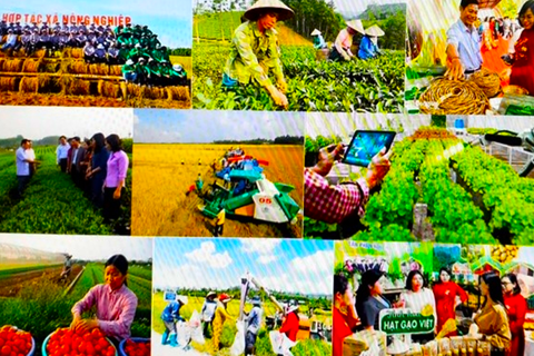 Kiện toàn tổ chức và hoạt động của Quỹ Hỗ trợ nông dân Trung ương