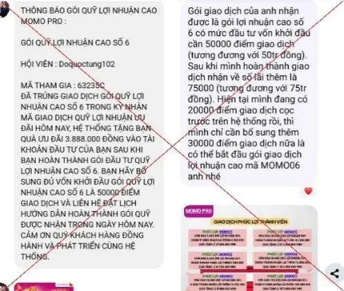 Hình ảnh 1