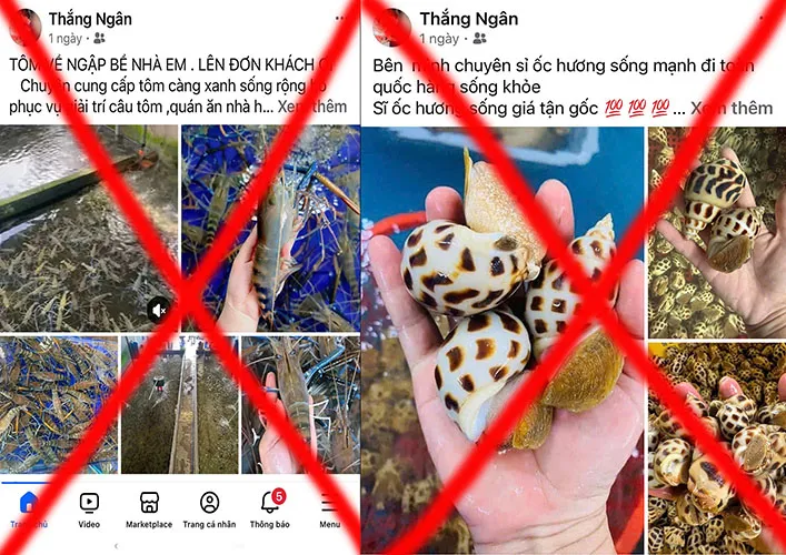 Hình ảnh 1