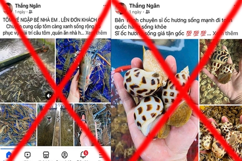 Khởi tố cặp vợ chồng lừa đảo bán hải sản "tươi ngon, giá rẻ"