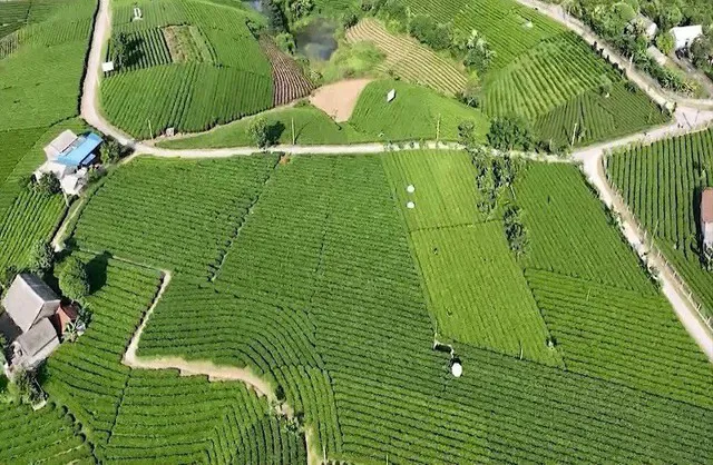 Hình ảnh 1