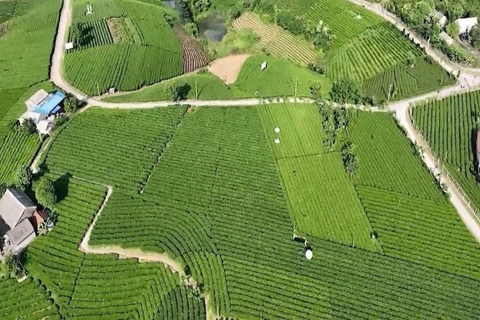 4 huyện về đích nông thôn mới