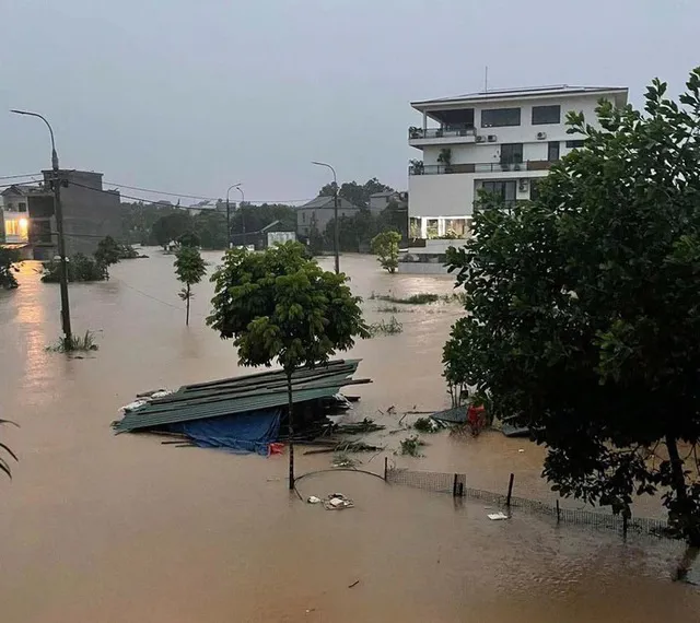 Hình ảnh 1