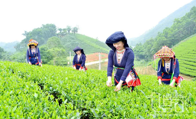 Hình ảnh 1