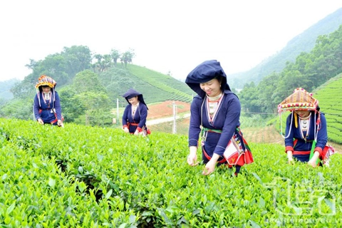 Sớm sửa đổi tiêu chí phân bổ vốn cho các chương trình mục tiêu quốc gia