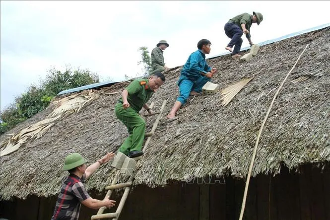 Chỉ đạo của Ban Bí thư về việc ứng phó với cơn bão số 3