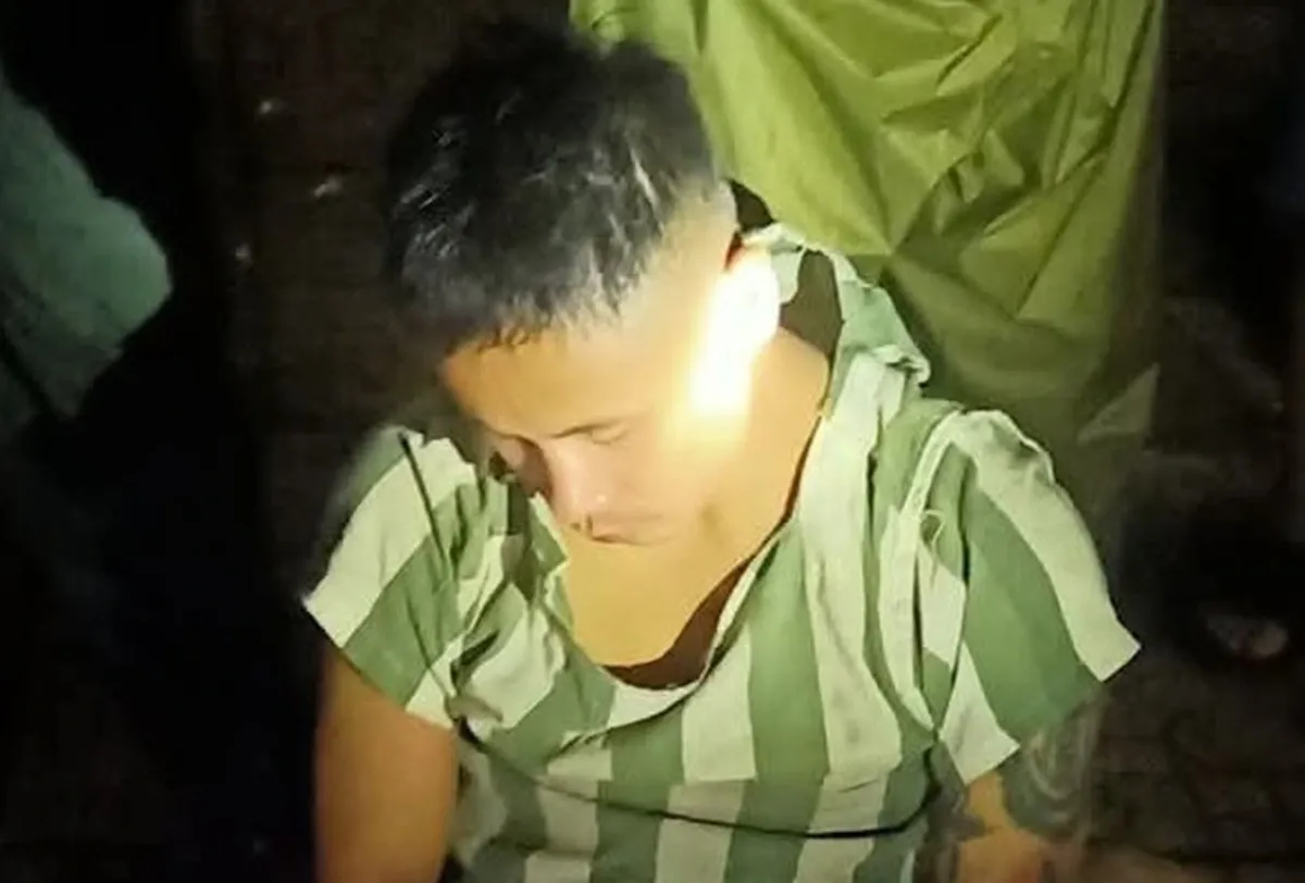 Hình ảnh 1