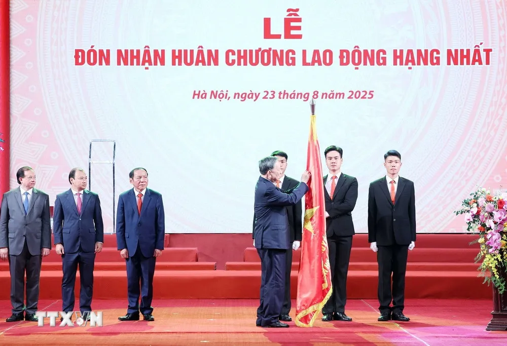 Hình ảnh 3