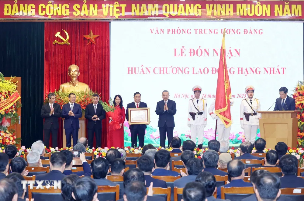 Hình ảnh 2