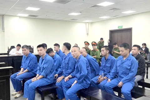 Cựu trưởng khoa Bệnh viện Tâm thần Trung ương 1 nhận hối lộ