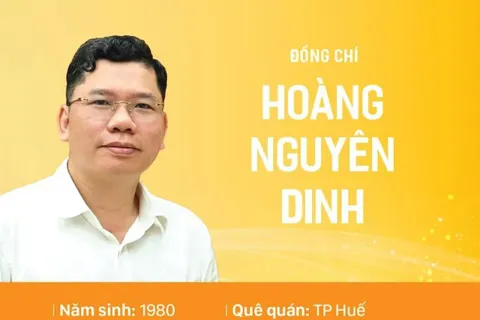 Phê chuẩn kết quả bầu, miễn nhiệm chức vụ Phó Chủ tịch UBND Thành phố Hồ Chí Minh