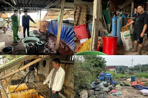 Đấu tranh quyết liệt, hiệu quả với tội phạm môi trường