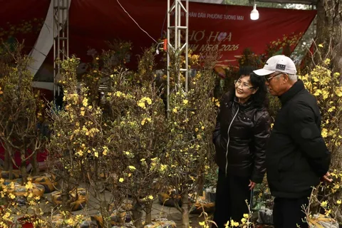 Phường Tương Mai: Chợ hoa Tết tấp nập dịp cận Tết