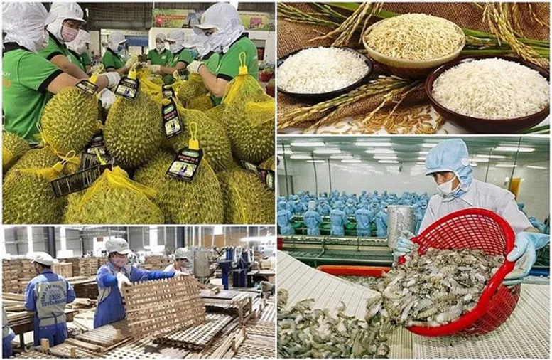Tăng cường truy xuất nguồn gốc, chất lượng nông, lâm, thủy sản xuất khẩu