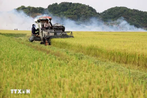 Dự thảo văn kiện Đại hội Đảng XIV: Đề xuất cơ chế đột phá, nâng tầm “tam nông”