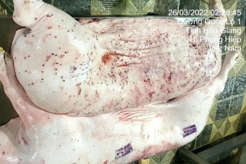 Không khởi tố vụ tố giác C.P. Việt Nam bán thịt heo bệnh