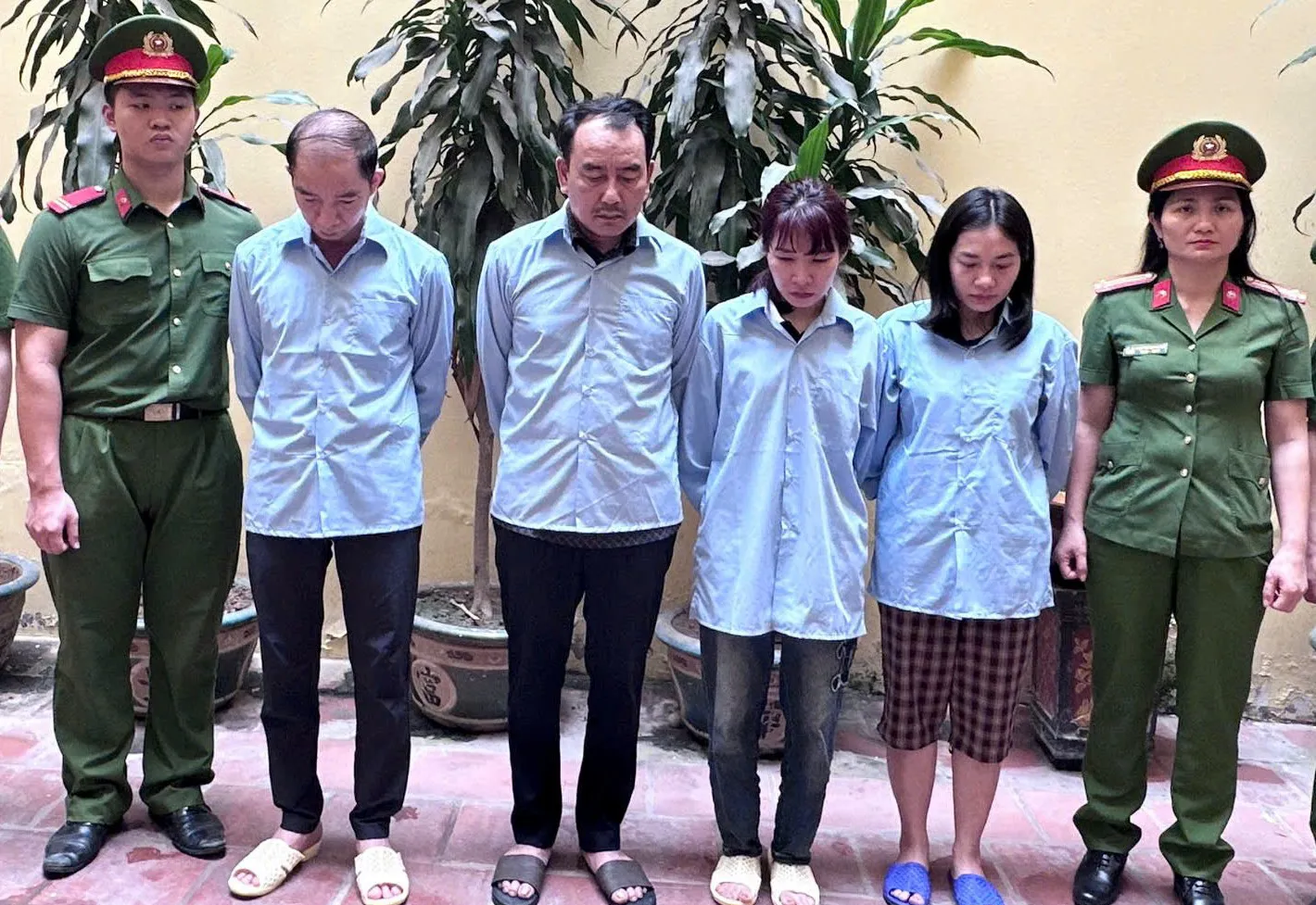 Hình ảnh 1
