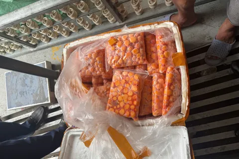 Hơn 12 tấn sụn gà, trứng non nghi nhập lậu được phát hiện trong xe container