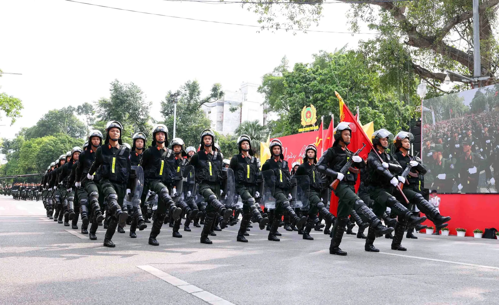 Hình ảnh 8