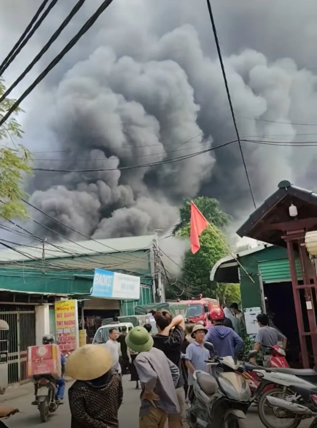 Hình ảnh 2