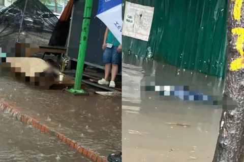 Làm rõ nguyên nhân người đàn ông tử vong giữa lúc trời mưa ngập ở Hà Nội