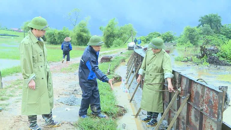 Hình ảnh 3