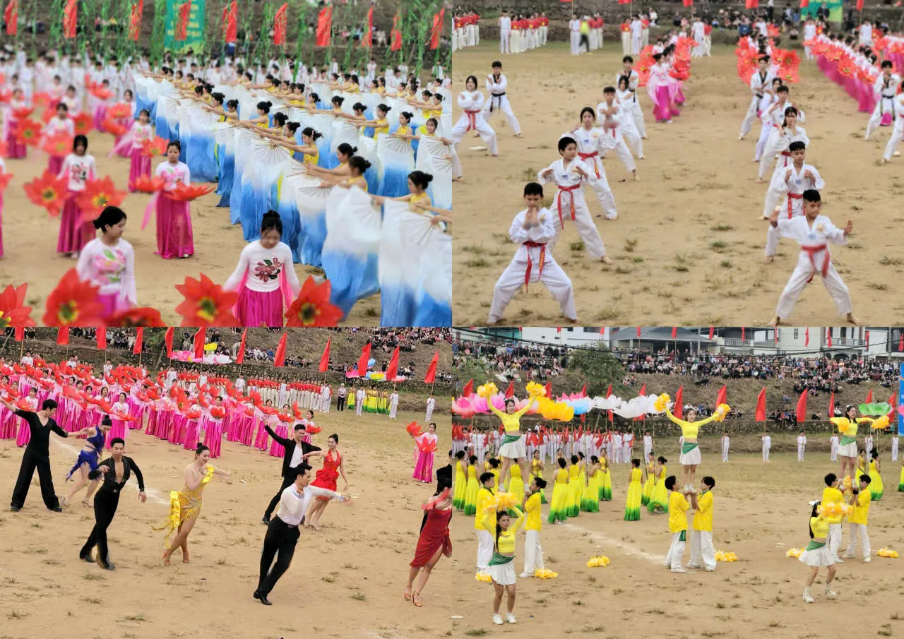 Hình ảnh 5