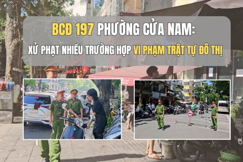 BCĐ 197 phường Cửa Nam: Xử phạt nhiều trường hợp vi phạm trật tự đô thị