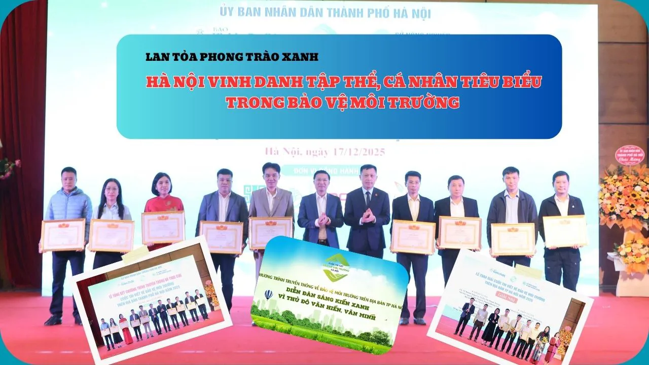 Lan tỏa phong trào xanh: Hà Nội vinh danh tập thể, cá nhân tiêu biểu trong bảo vệ môi trường