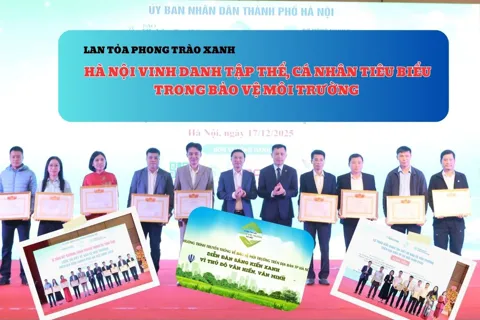 Lan tỏa phong trào xanh: Hà Nội vinh danh tập thể, cá nhân tiêu biểu trong bảo vệ môi trường