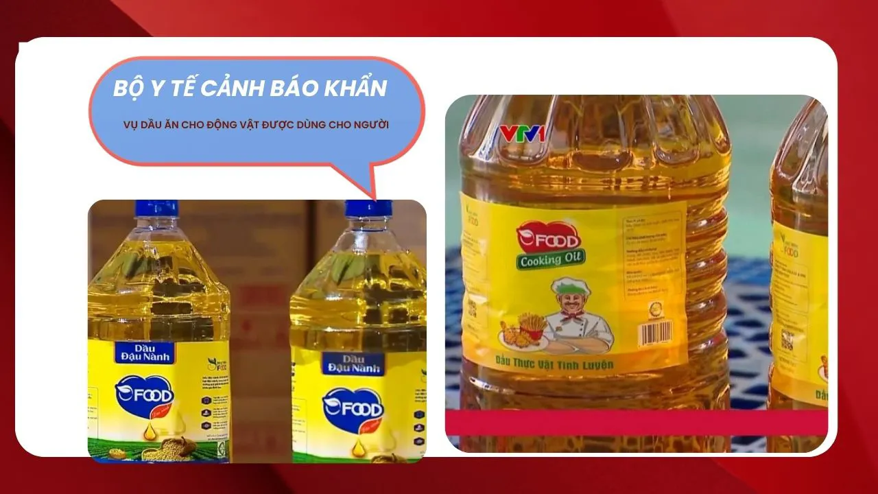 Thông tin mới nhất vụ dầu ăn cho động vật được dùng cho người