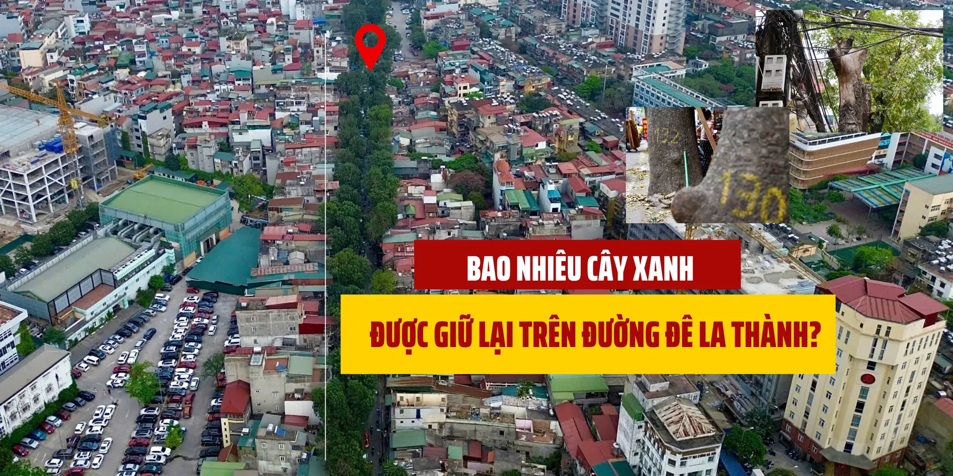 Bao nhiêu cây xanh được giữ lại trên đường Đê La Thành?