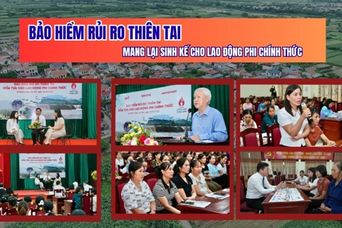 Bảo hiểm rủi ro thiên tai mang lại sinh kế cho lao động phi chính thức