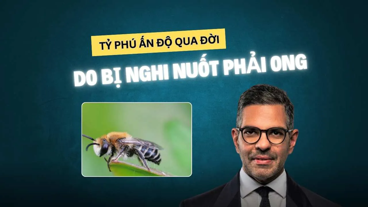 Ảnh podcast Ảnh podcast